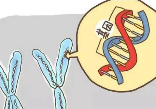 没有子宫不是没有怀孕的希望，分享无子宫生孩子的方式