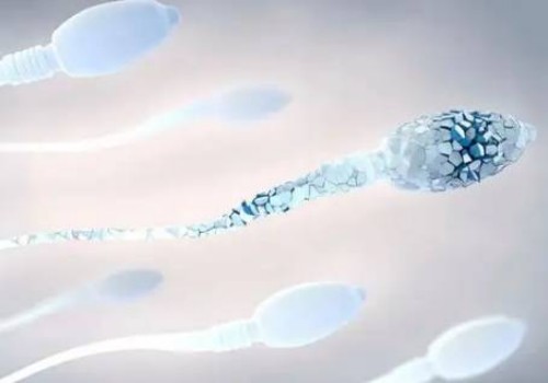 怀孕期间补多少钙才算合适？注意这3点就行