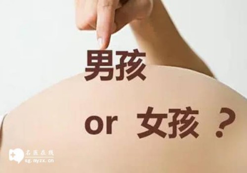 湛江助孕公司：同房次数并不会影响生男生女几率,生女并没有科学依据
